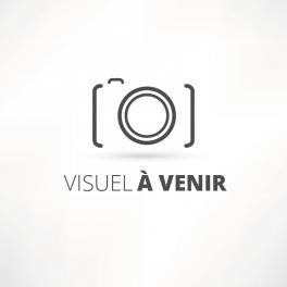 REMORQUE 1 ESSIEU NON FREINE GT 500 VERSION VT1 AVEC HAUTEUR SOUS CAPOT 83 CM ANSSEMS REMORQUE 1 ESSIEU NON FREINE GT 500 VERSION VT1 AVEC HAUTEUR SOUS CAPOT 83 CM ANSSEMS
