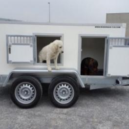 REMORQUE A CHIENS VSN DOG 6 VERSION.2 / 2 ESSIEUX REMORQUE ÉQUIPÉE DE 6 BOXES REMORQUE A CHIENS VSN DOG 6 VERSION.2 / 2 ESSIEUX REMORQUE ÉQUIPÉE DE 6 BOXES