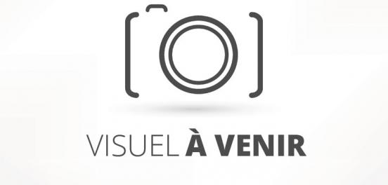Remorque frigorifique VSN TF1250 Remorque frigorifique VSN TF1250